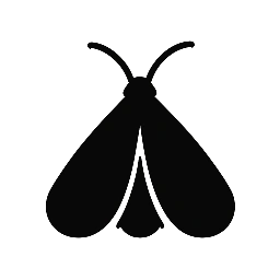 Volo di una falena